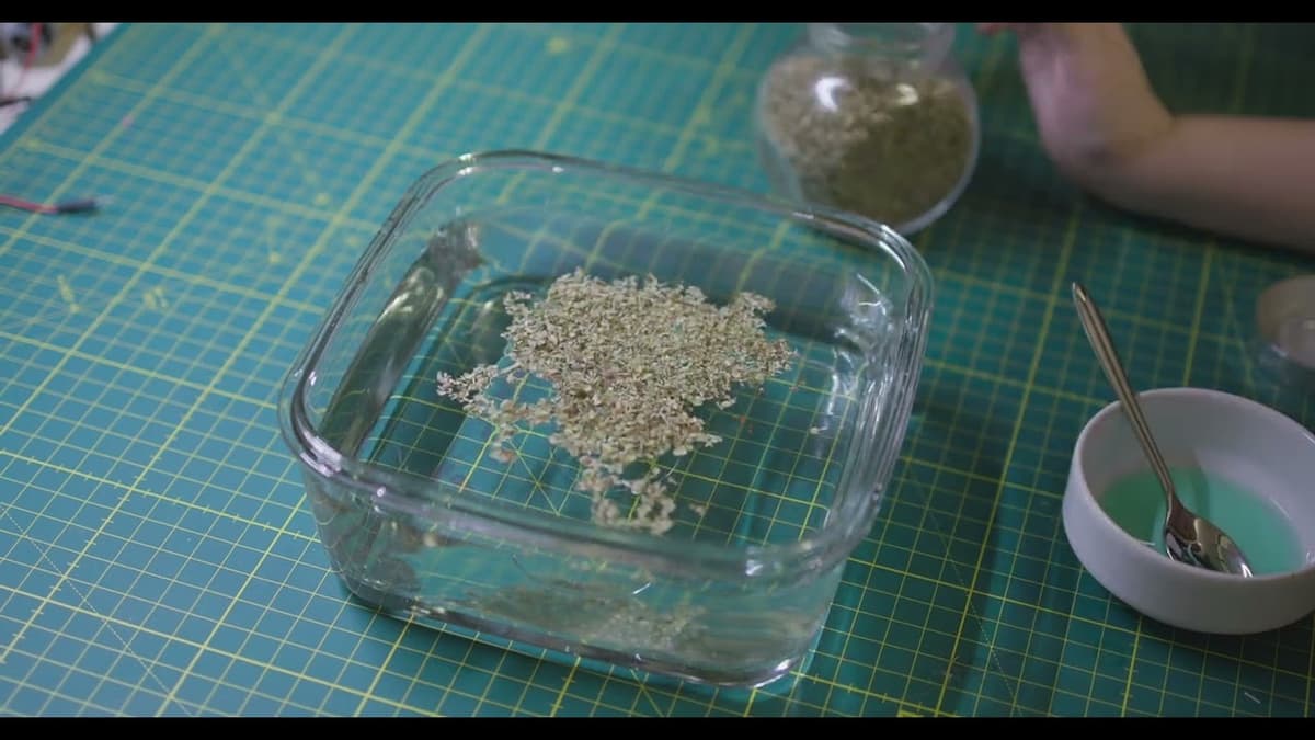 Surface Tension Experiment